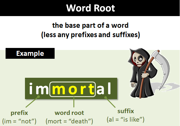 วิธีจำศัพท์ภาษาอังกฤษได้ง่าย ๆ ด้วยการเรียนรู้จากรากศัพท์ Root Words