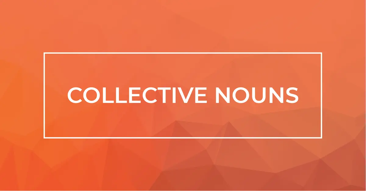 ภาพพื้นหลังสีส้มพร้อมข้อความ COLLECTIVE NOUNS ใช้สื่อสารหัวข้อเกี่ยวกับคำนามหมู่ในภาษาอังกฤษ"