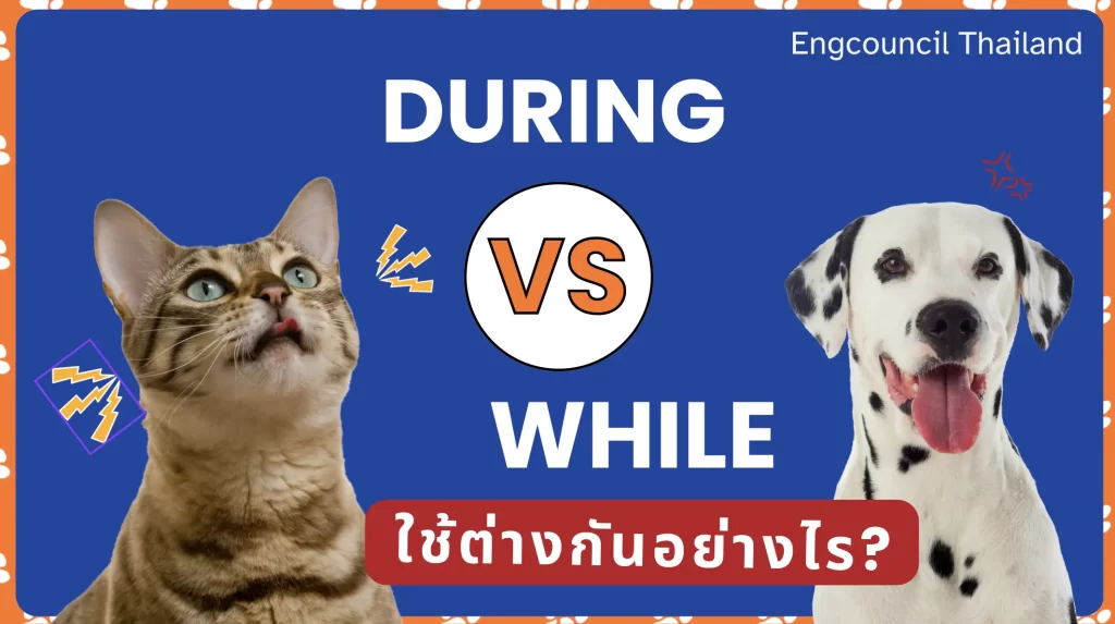 During และ While ใช้ต่างกันอย่างไร